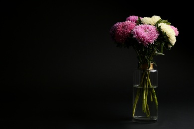 Bouquet of beautiful asters in vase on black background, space for text. Autumn flowers