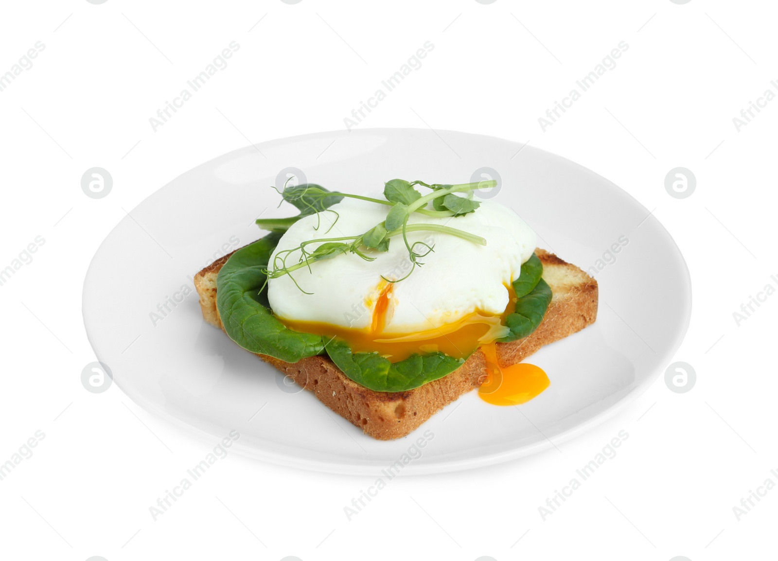 Photo of Delicious poached egg sandwich isolated on white