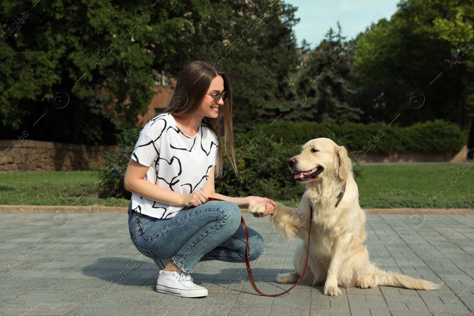 Photo of Cute golden retriever dog giving paw to young woman on pier