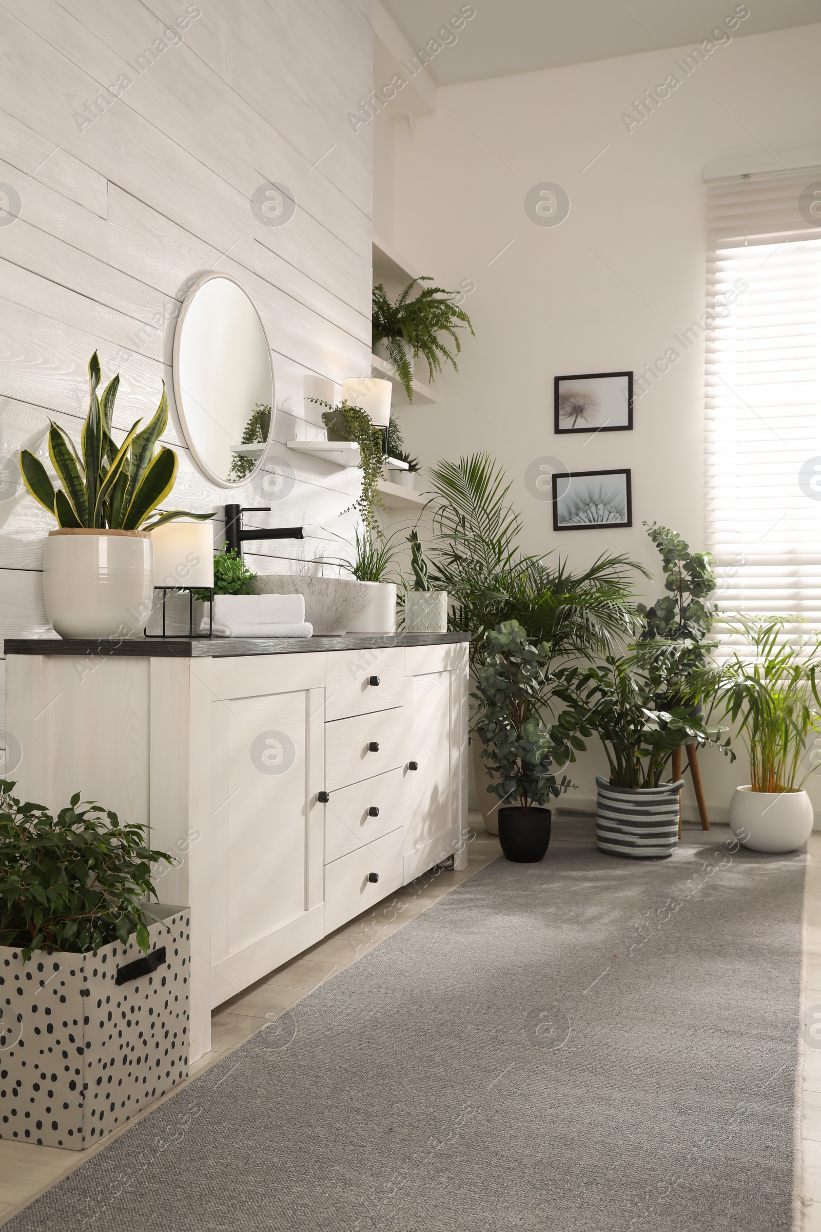Photo of Stylish bathroom interior with vessel sink and beautiful plants