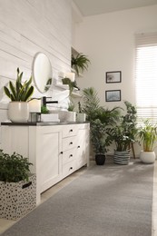 Stylish bathroom interior with vessel sink and beautiful plants