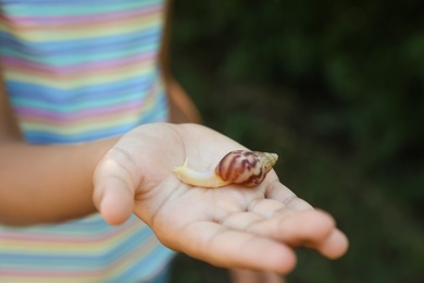 Photo of Girl playing with cute snail outdoors, closeup. Child spending time in nature