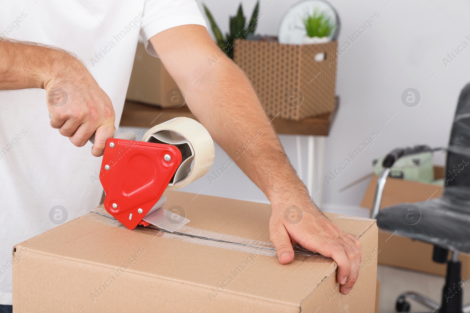 Photo of Young worker packing cardboard box in room, closeup. Moving service