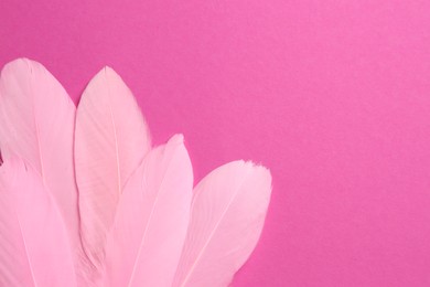 Photo of Beautiful feathers on pink background, top view. Space for text