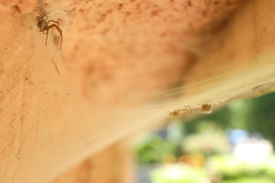 Photo of Cobweb and spider on old building outdoors, closeup. Space for text