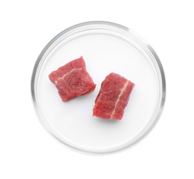 Photo of Petri dish with pieces of raw cultured meat on white background, top view