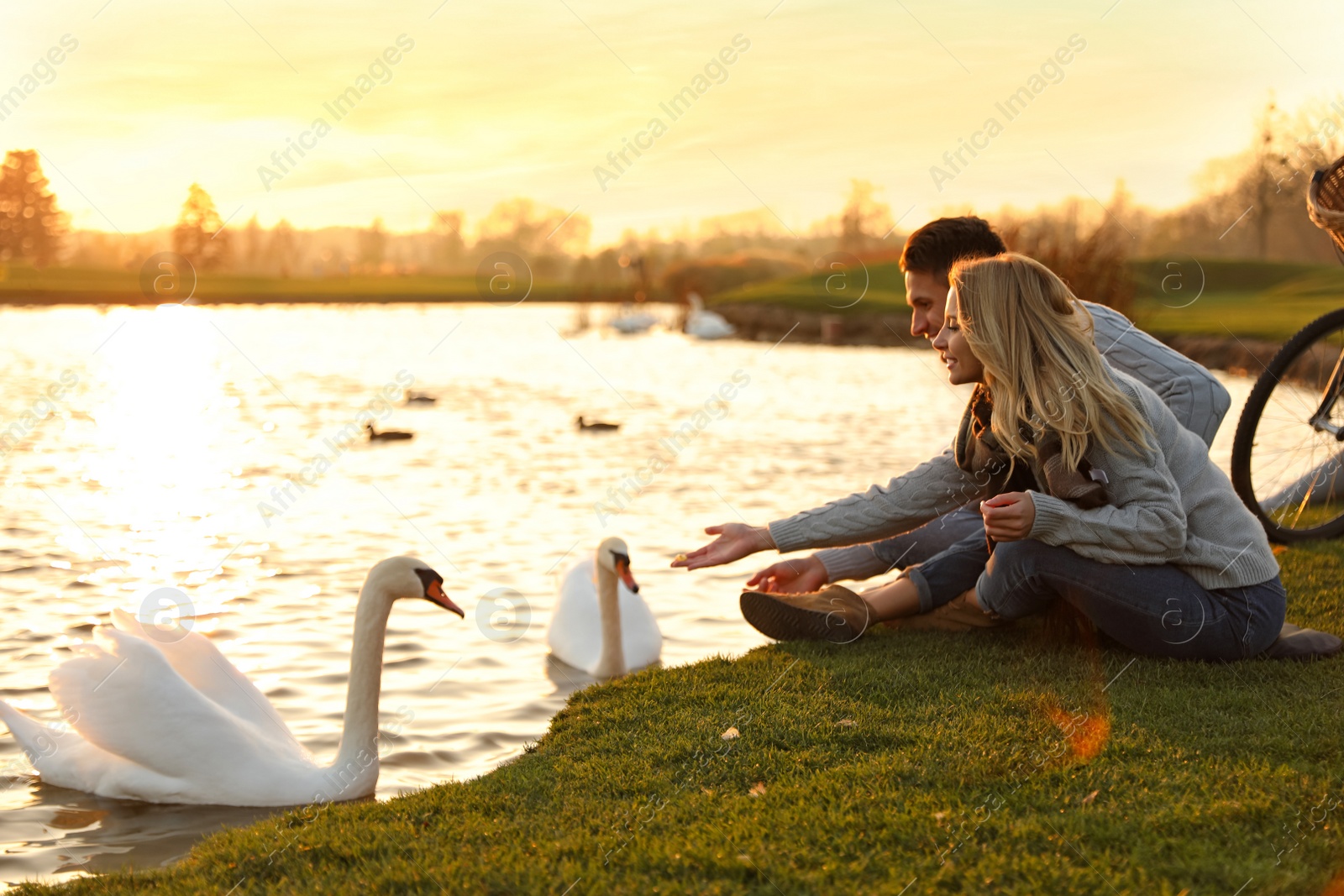 Photo of Young couple near lake with swans at sunset. Perfect place for picnic