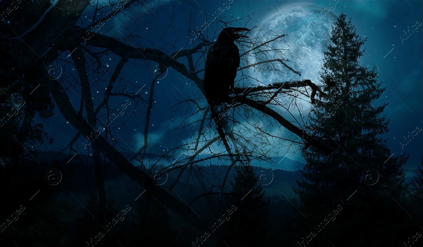 Image of Creepy black crow croaking in scary dark forest on full moon night