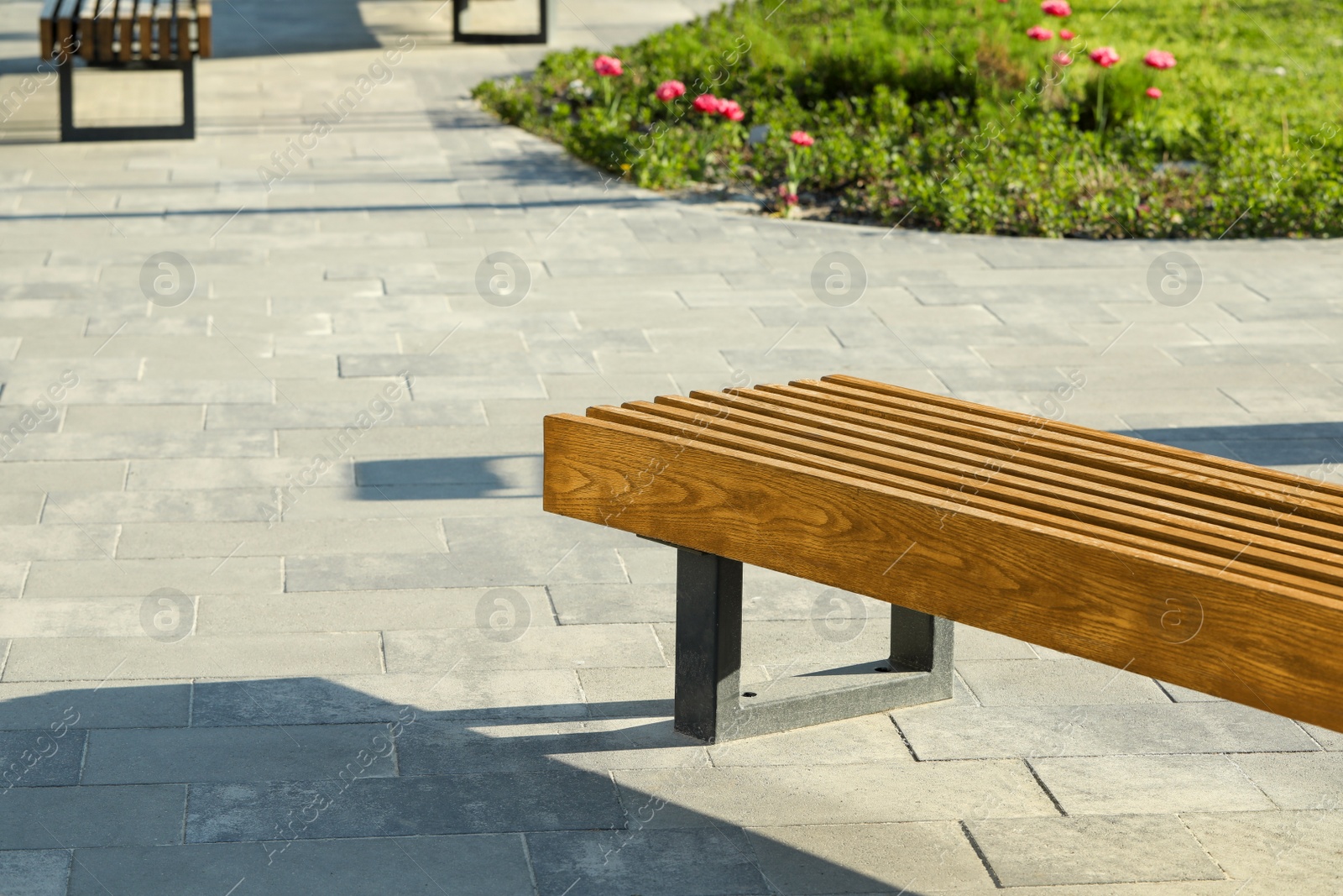 Photo of Wooden bench in city park on sunny morning