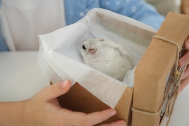 Photo of Little girl holding gift box with cute hamster at home, closeup