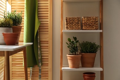 Different potted herbs in room. Interior design