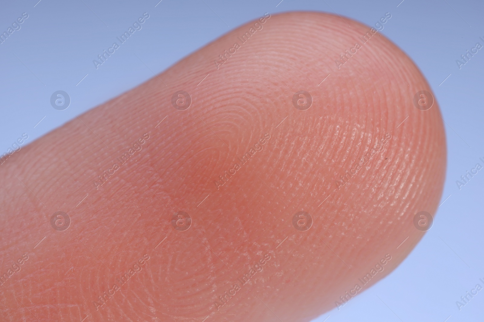 Photo of Finger with friction ridges on light blue background, macro view