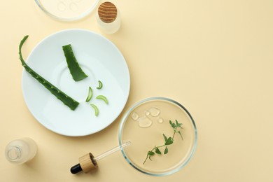 Flat lay composition with Petri dish and plants on beige background. Space for text