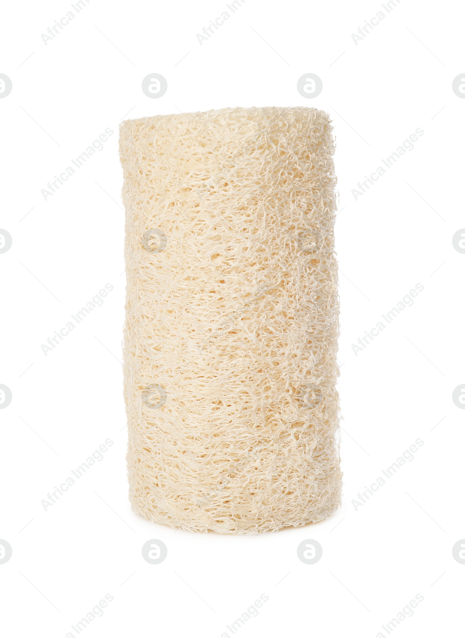 Photo of Natural shower loofah sponge isolated on white