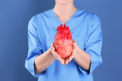 Doctor holding model of heart on color background. Prevent heart attack