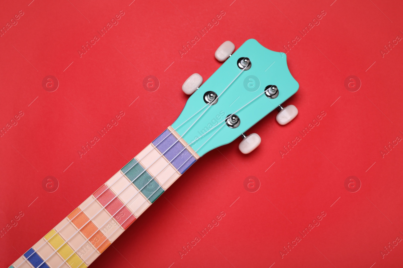 Photo of Colorful ukulele neck on red background, top view. String musical instrument