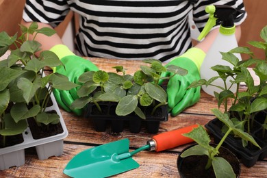 Photo of Woman wearing gardening gloves planting seedlings in plastic containers with soil at wooden table, closeup