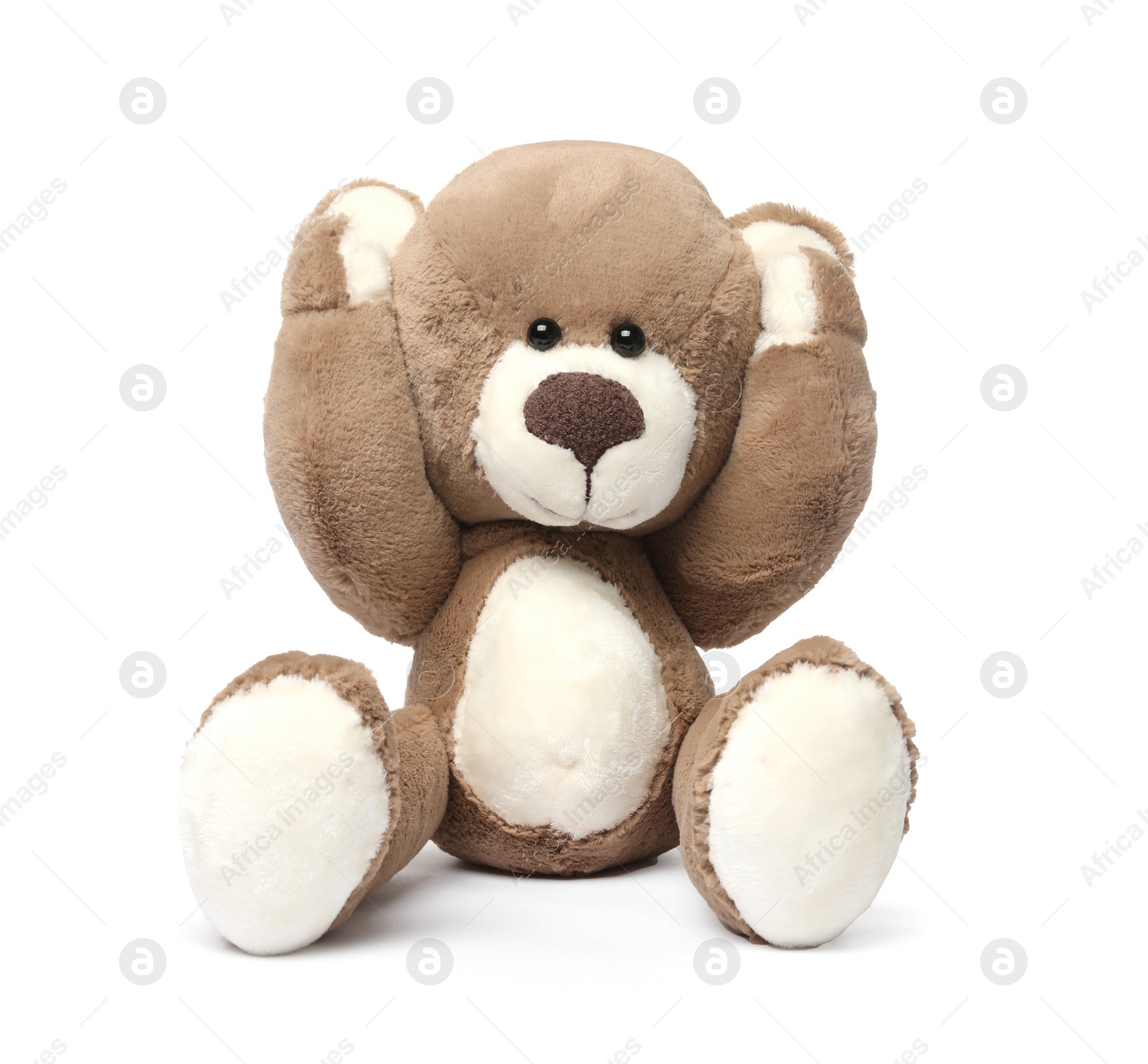 Photo of Cute teddy bear isolated on white. Child`s toy