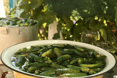 Photo of Fresh ripe cucumbers with water in metal bowl outdoors, closeup