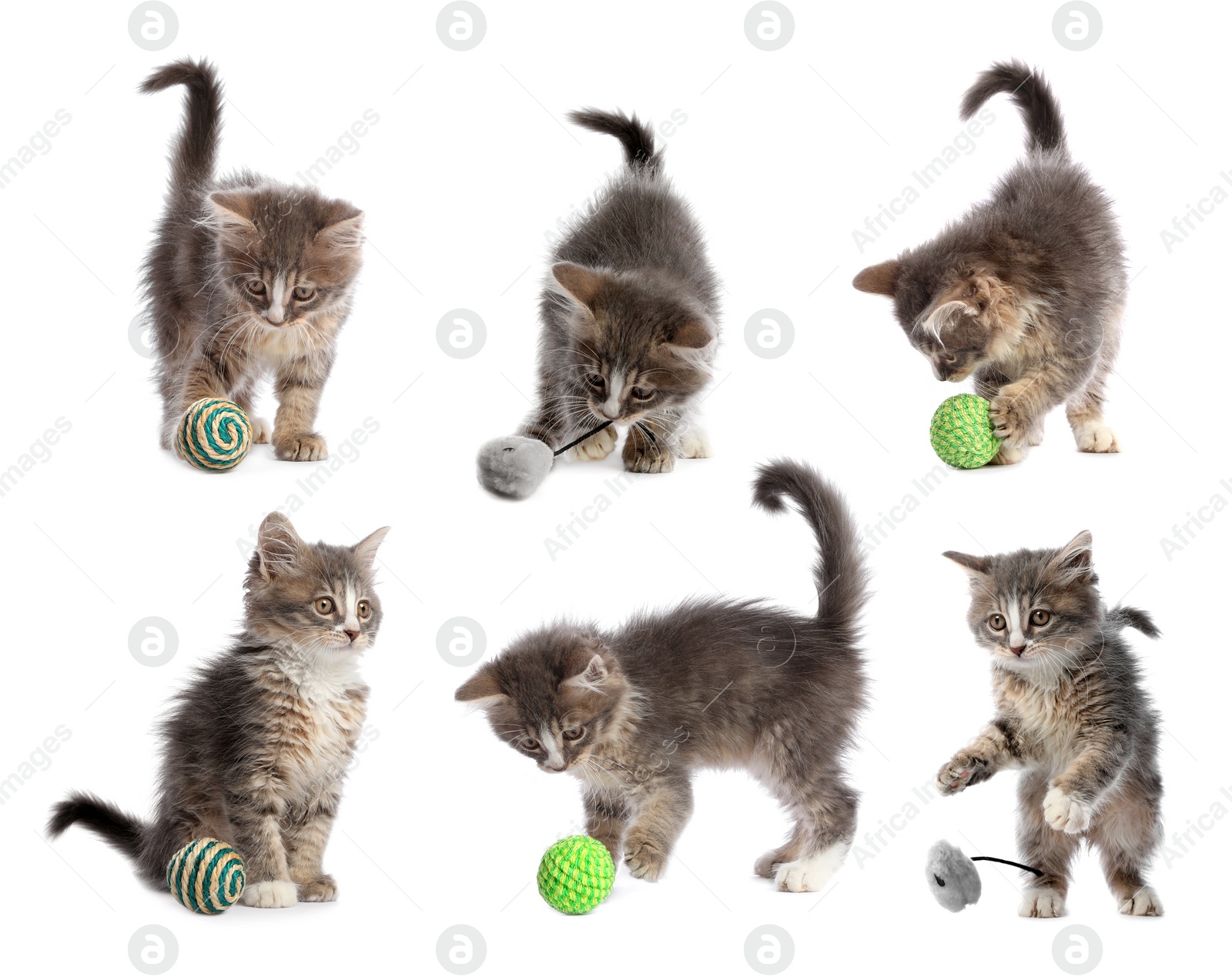 Image of Adorable kittens playing with toys on white background, collage. Lovely pet 