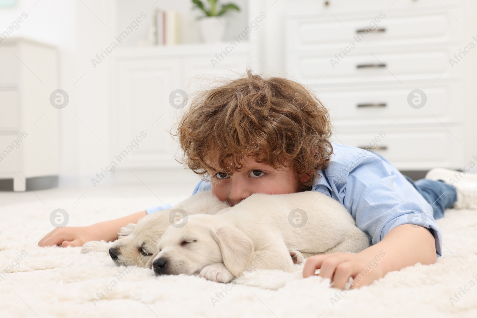 Photo of Little boy lying with cute puppies on white carpet at home