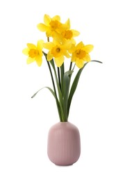 Photo of Bouquet of beautiful yellow daffodils in vase isolated on white