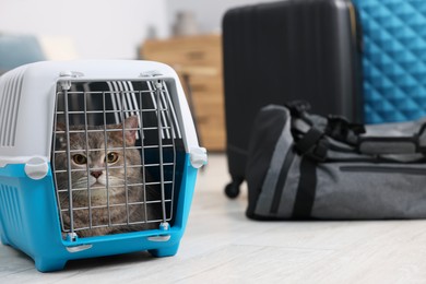 Photo of Travel with pet. Cute cat in carrier at home