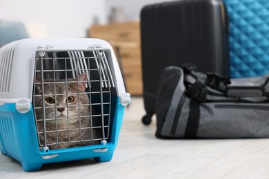 Travel with pet. Cute cat in carrier at home