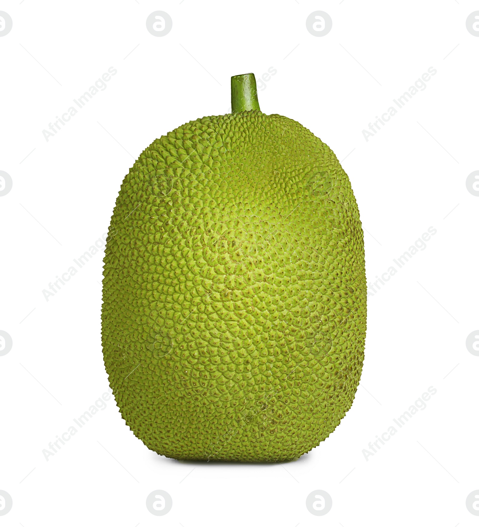 Photo of Delicious fresh exotic jackfruit isolated on white