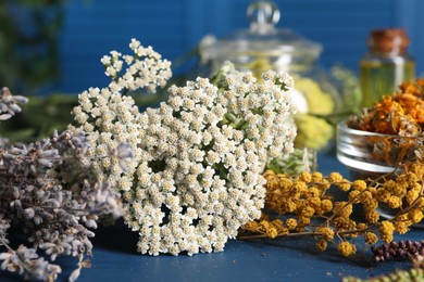 Photo of Many different herbs on blue wooden table, closeup