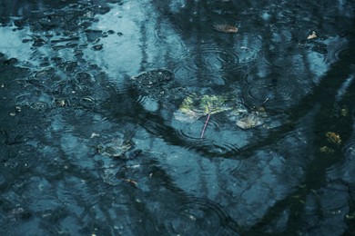 Photo of Puddle of water with fallen leaves on autumn rainy day