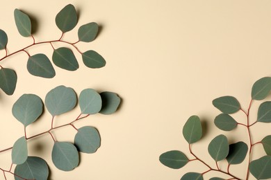 Eucalyptus branches with fresh green leaves on beige background, flat lay. Space for text