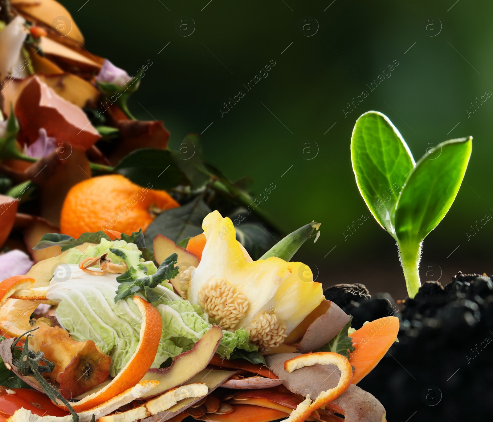 Image of Young seedling and organic waste for composting on soil, closeup. Natural fertilizer