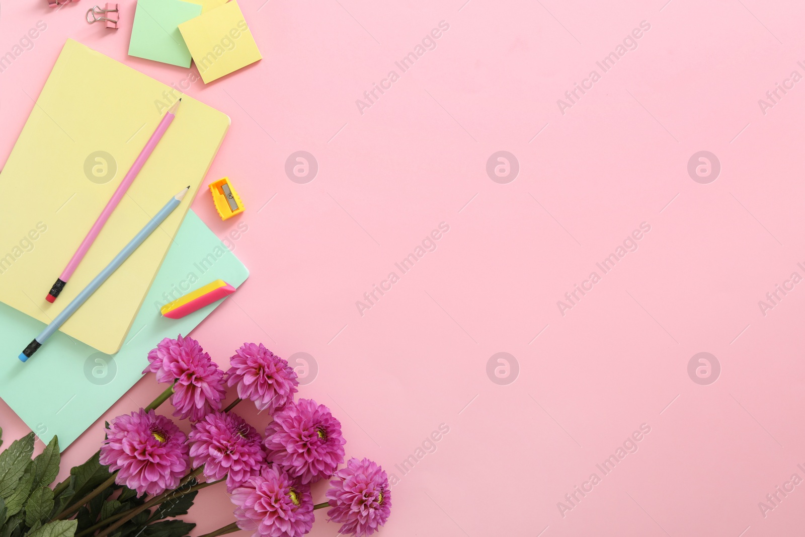 Photo of Beautiful flowers and stationery on pink background, flat lay with space for text. Teacher's Day