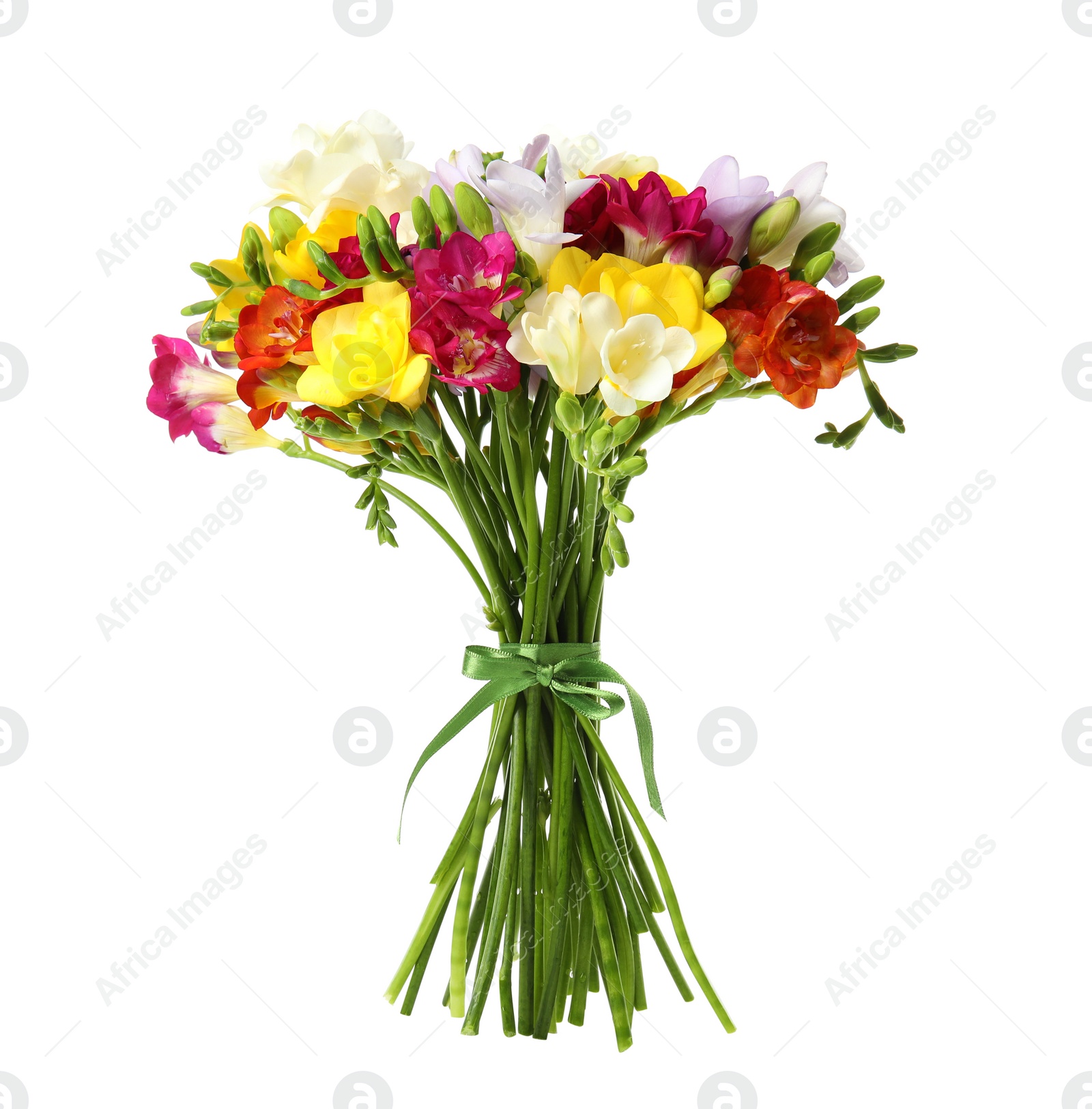 Photo of Bouquet of beautiful freesia flowers isolated on white