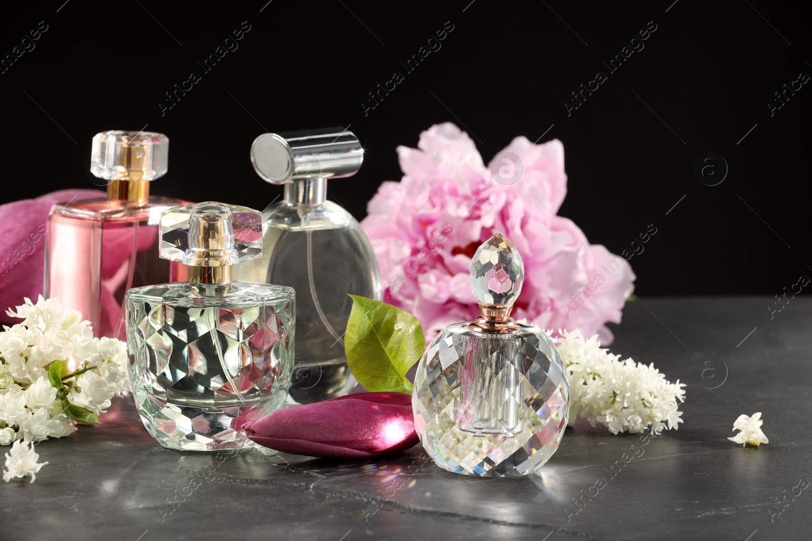 Photo of Luxury perfumes and floral decor on grey table against black background