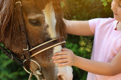 Photo of Little girl stroking her pony in green park, closeup
