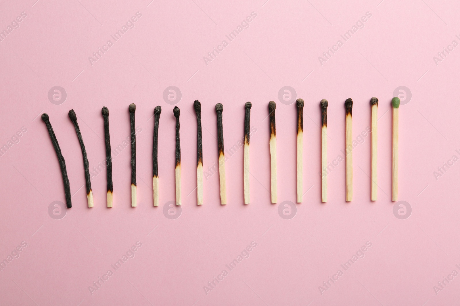 Photo of Row of burnt matches and whole one on color background, flat lay. Human life phases concept