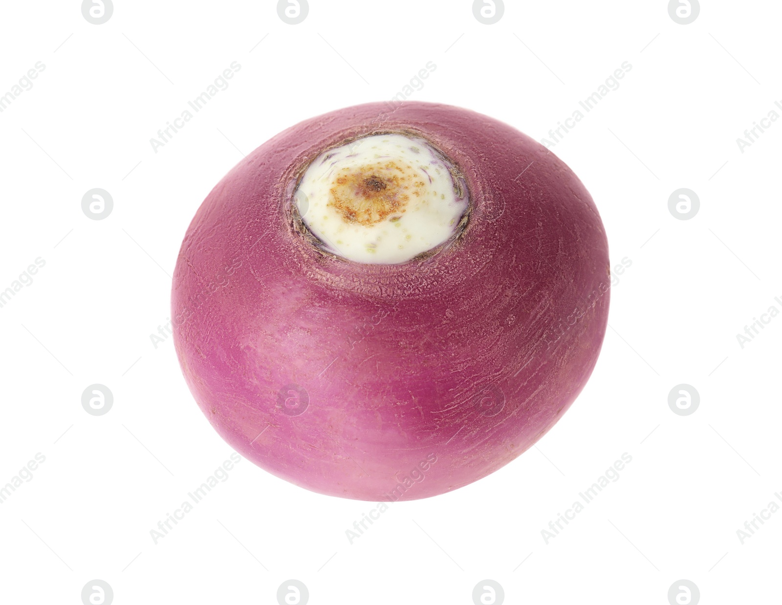 Photo of Whole fresh ripe turnip on white background