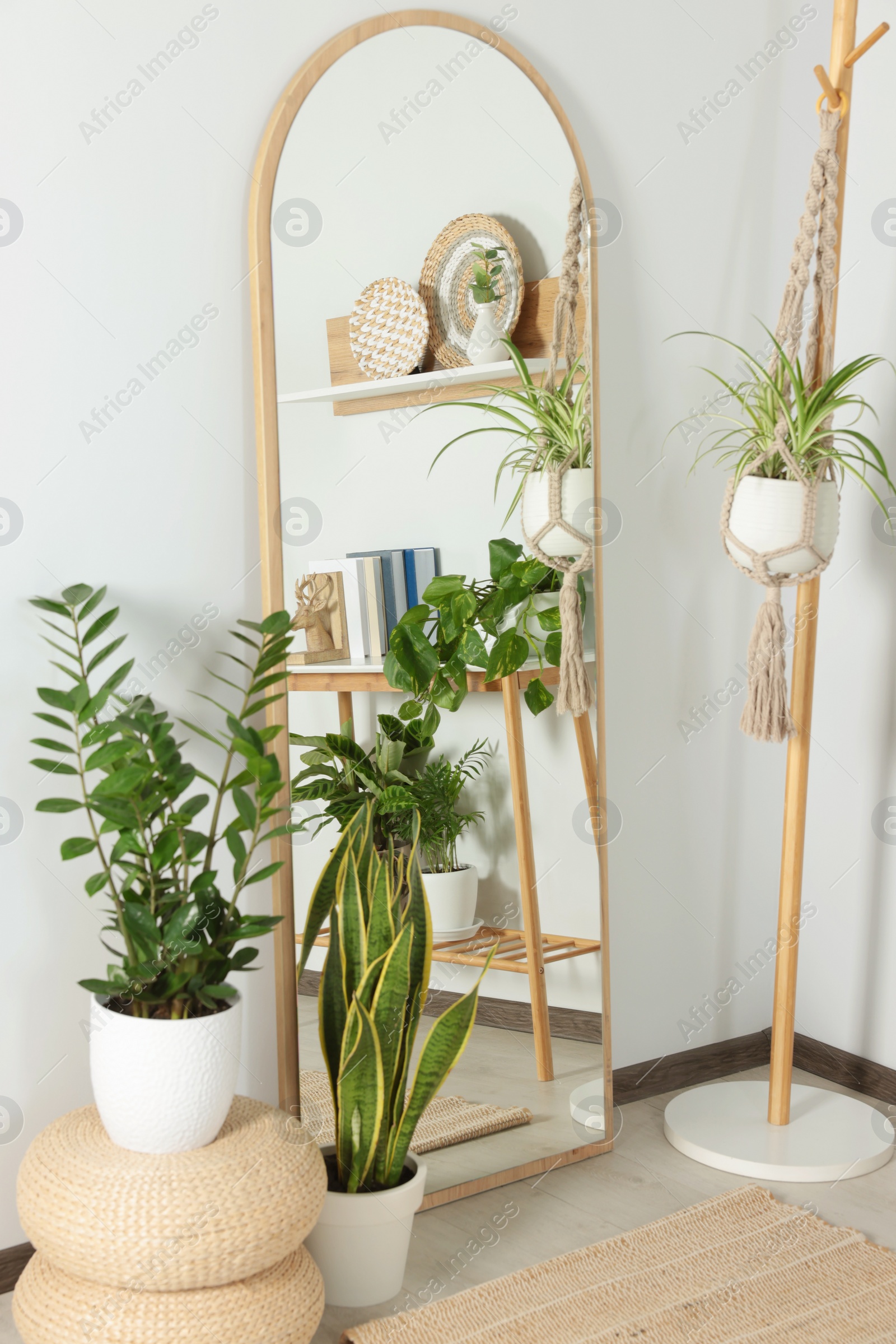 Photo of Stylish full length mirror and houseplants near white wall in room