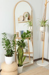 Photo of Stylish full length mirror and houseplants near white wall in room