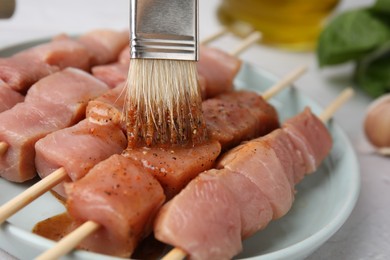 Spreading marinade onto raw meat with basting brush on light table, closeup