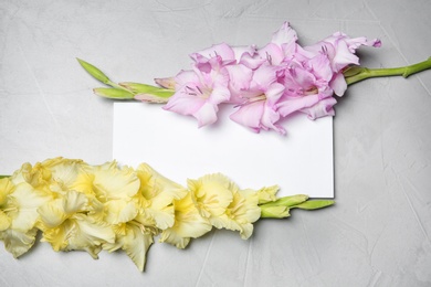 Beautiful gladiolus flowers with blank card on gray background, top view