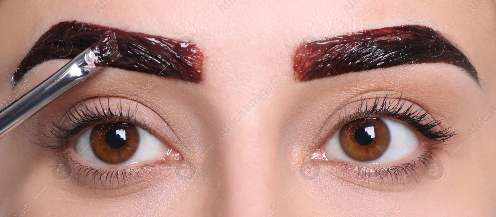 Photo of Beautician applying tint during eyebrows correction procedure on white background, closeup