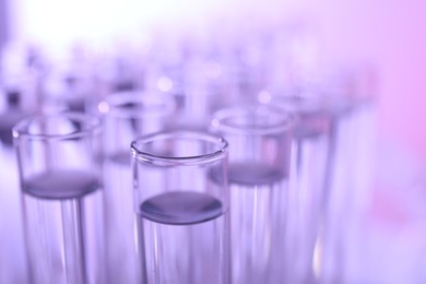 Photo of Many glass test tubes on violet background, closeup