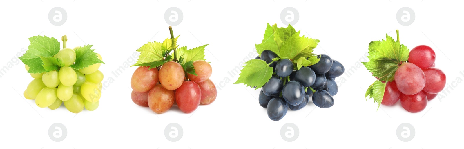 Image of Set of fresh grapes on white background. Banner design