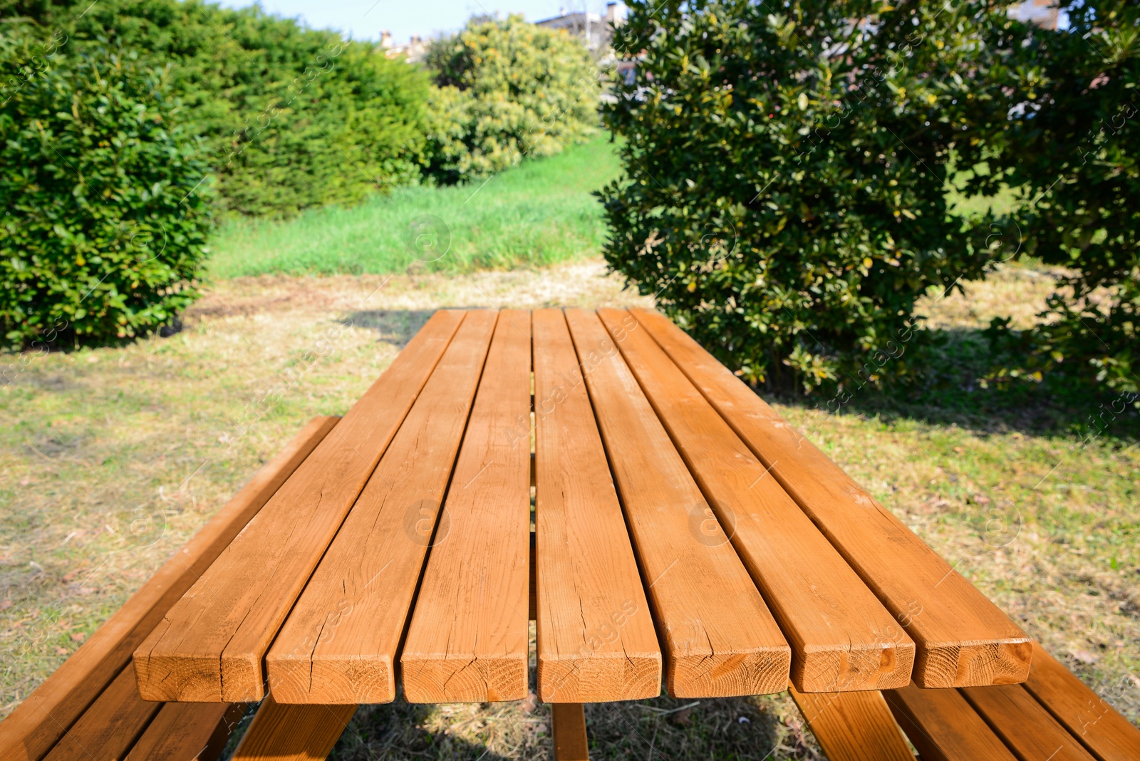 Photo of Empty wooden picnic table in park on sunny day