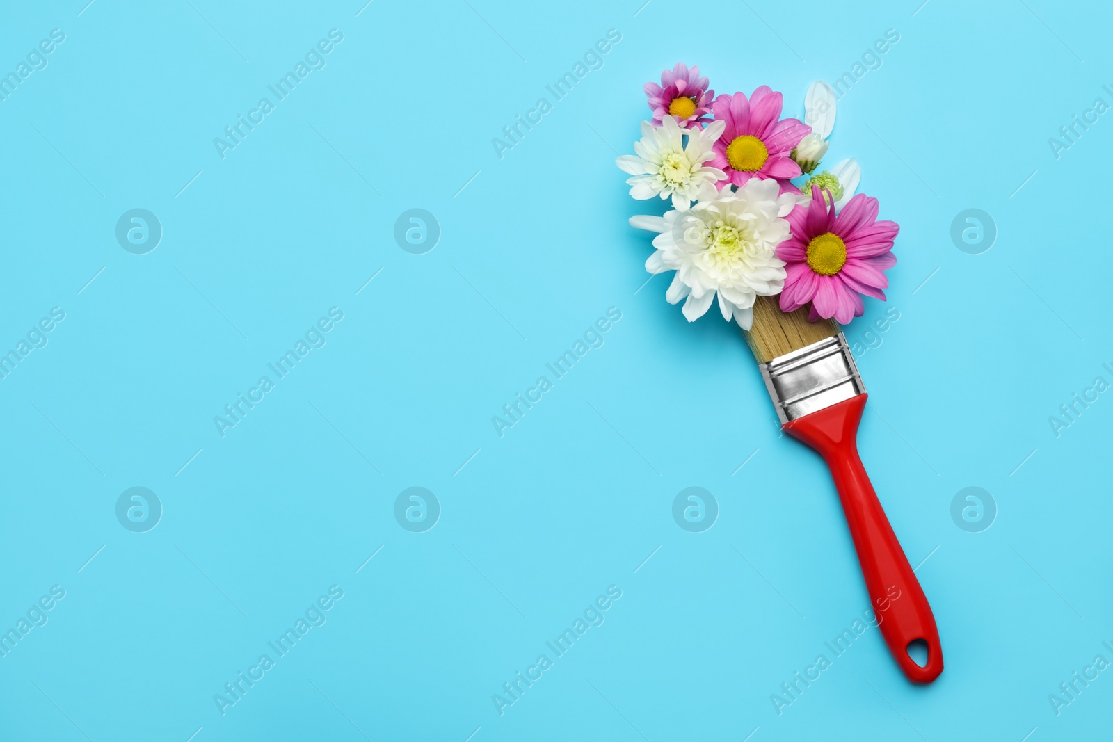 Photo of Brush painting with chrysanthemum flowers on light blue background, top view. Space for text. Creative concept