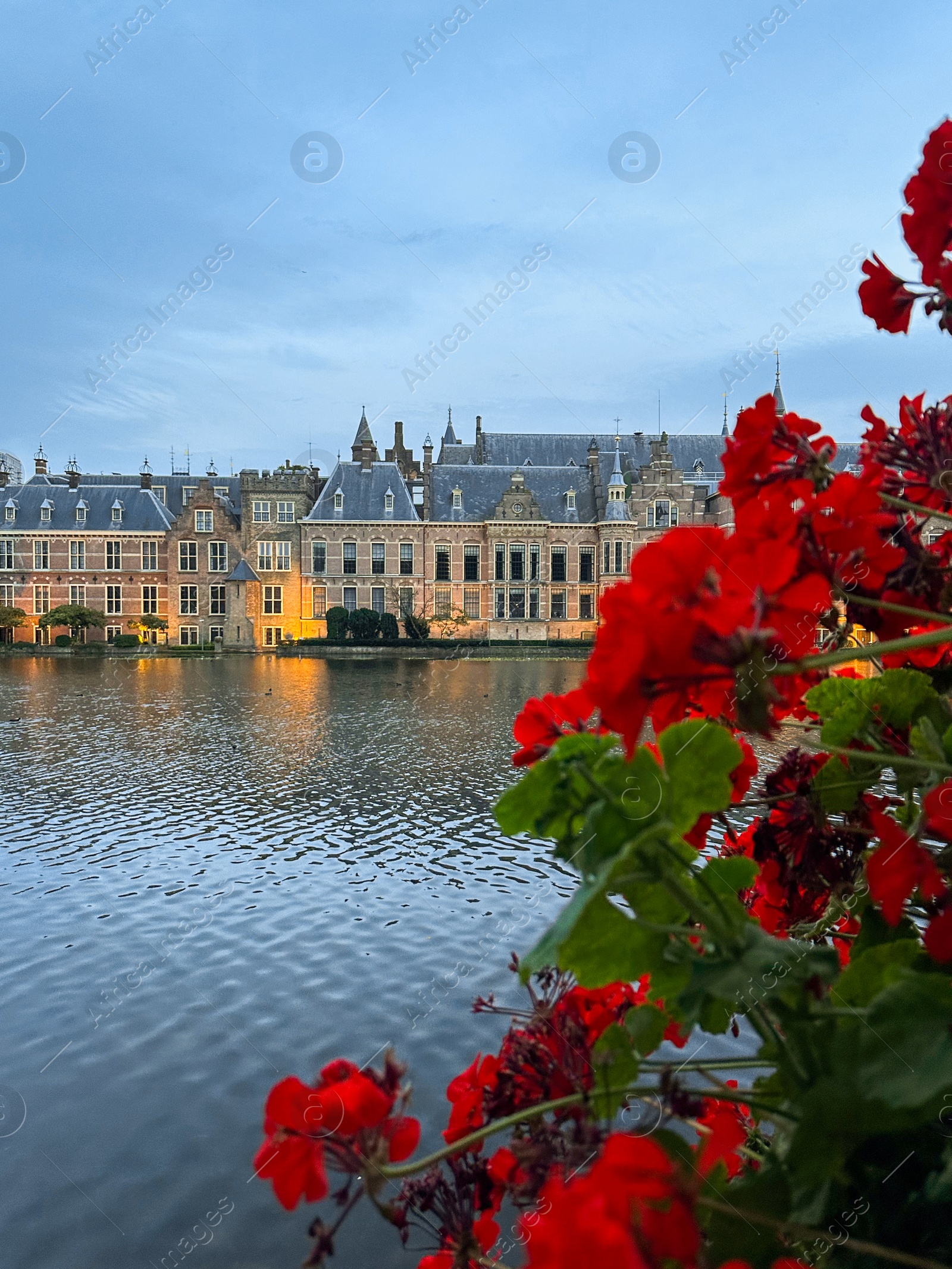 Photo of Beautiful view of red flowers and buildings on riverside in city