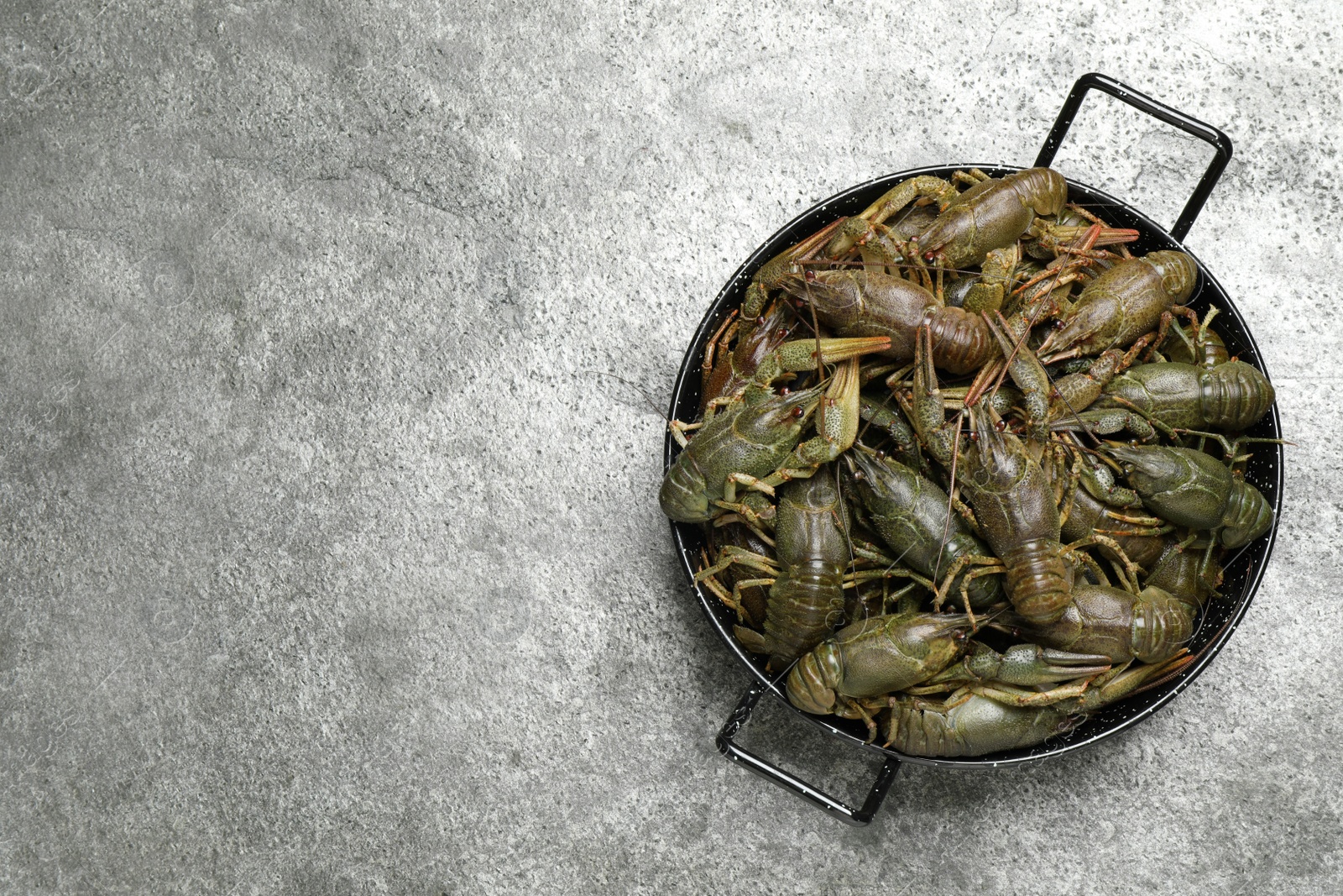 Photo of Fresh raw crayfishes on grey table, top view. Space for text